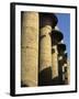 Hypostyle Hall, Great Temple of Amun, Karnak, Thebes, UNESCO World Heritage Site, Egypt-Simanor Eitan-Framed Photographic Print