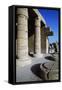 Hypostyle Hall of Ramesseum, Mortuary Temple of Ramses II, Luxor, Thebes-null-Framed Stretched Canvas