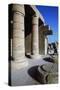 Hypostyle Hall of Ramesseum, Mortuary Temple of Ramses II, Luxor, Thebes-null-Stretched Canvas