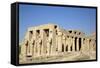 Hypostyle Hall, the Ramesseum, Luxor, West Bank, Thebes, Egypt, North Africa, Africa-Richard Maschmeyer-Framed Stretched Canvas