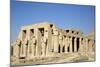 Hypostyle Hall, the Ramesseum, Luxor, West Bank, Thebes, Egypt, North Africa, Africa-Richard Maschmeyer-Mounted Photographic Print