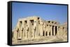 Hypostyle Hall, the Ramesseum, Luxor, West Bank, Thebes, Egypt, North Africa, Africa-Richard Maschmeyer-Framed Stretched Canvas