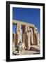 Hypostyle Hall, the Ramesseum (Mortuary Temple of Ramese Ii), Luxor-Richard Maschmeyer-Framed Photographic Print