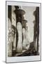 Hypostyle Hall, Thebes, Karnak, Egypt, 1841-Himely-Mounted Giclee Print