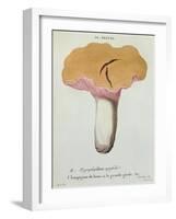 Hyprophyllum Aquifolii, Plate 38 from 'Iconographie Des Champignons De J. J. Paulet'-Fossier-Framed Giclee Print