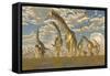 Hypsilophodon and Pteranodon Dinosaurs Accompany a Herd of Argentinosaurus-null-Framed Stretched Canvas