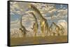 Hypsilophodon and Pteranodon Dinosaurs Accompany a Herd of Argentinosaurus-null-Framed Stretched Canvas