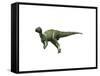 Hypsilophodon Foxii Dinosaur-null-Framed Stretched Canvas