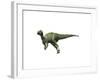 Hypsilophodon Foxii Dinosaur-null-Framed Art Print