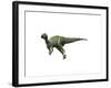 Hypsilophodon Foxii Dinosaur-null-Framed Art Print