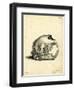 Hyrax Skull-null-Framed Giclee Print