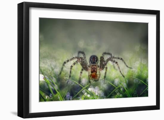I Am Back to You-Erwin Astro-Framed Photographic Print