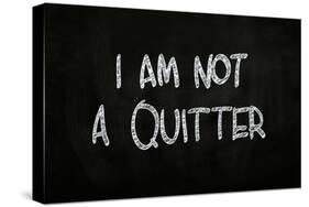 I Am Not A Quitter-airdone-Stretched Canvas