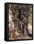 I Am Old Philemon! Murmured the Oak, Illustration from 'A Wonder Book for Girls and Boys'-Arthur Rackham-Framed Stretched Canvas