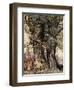 I Am Old Philemon! Murmured the Oak, Illustration from 'A Wonder Book for Girls and Boys'-Arthur Rackham-Framed Giclee Print