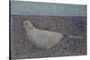 I am the Collared Dove-Ruth Addinall-Stretched Canvas