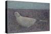 I am the Collared Dove-Ruth Addinall-Stretched Canvas