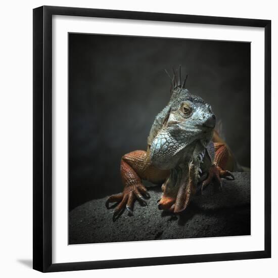 I Am The King...Who Else!-Holger Droste-Framed Giclee Print