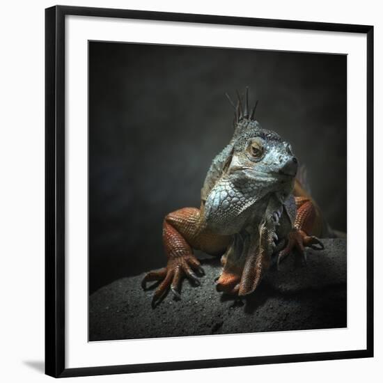 I Am The King...Who Else!-Holger Droste-Framed Giclee Print