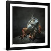 I Am The King...Who Else!-Holger Droste-Framed Giclee Print