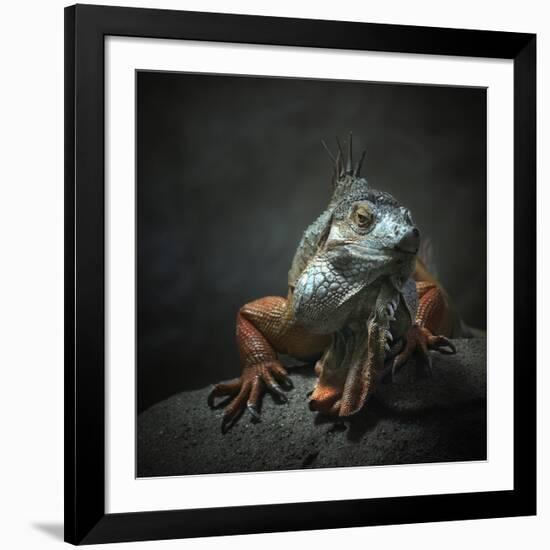 I Am The King...Who Else!-Holger Droste-Framed Giclee Print