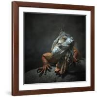 I Am The King...Who Else!-Holger Droste-Framed Giclee Print