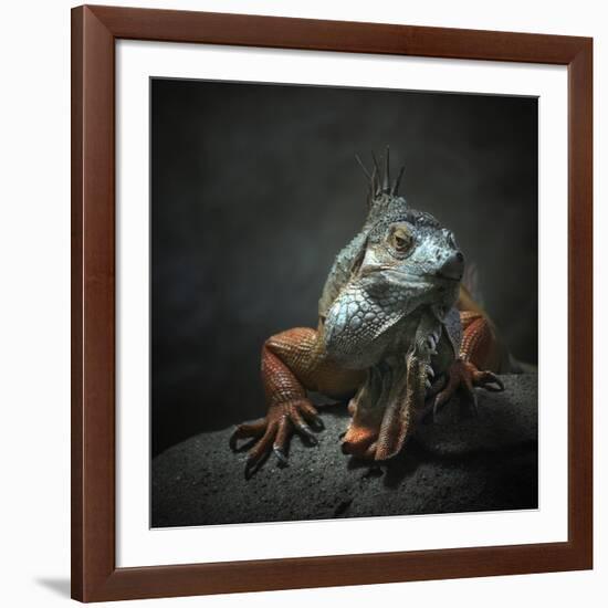 I Am The King...Who Else!-Holger Droste-Framed Giclee Print