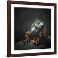 I Am The King...Who Else!-Holger Droste-Framed Giclee Print