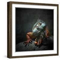 I Am the King. Who Else!?-Holger Droste-Framed Photographic Print