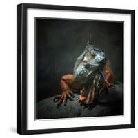 I Am the King. Who Else!?-Holger Droste-Framed Photographic Print