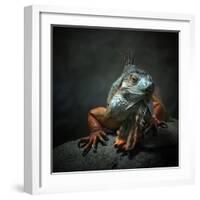 I Am the King. Who Else!?-Holger Droste-Framed Photographic Print