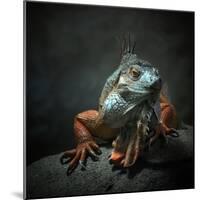 I Am the King. Who Else!?-Holger Droste-Mounted Photographic Print