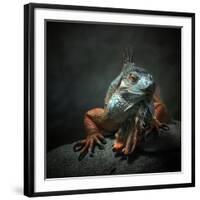 I Am the King. Who Else!?-Holger Droste-Framed Photographic Print