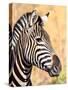I Am White with Black Stripes.-WYNAND-Stretched Canvas
