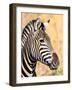 I Am White with Black Stripes.-WYNAND-Framed Photographic Print