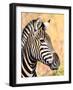 I Am White with Black Stripes.-WYNAND-Framed Photographic Print