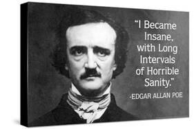 I Became Insane With Intervals Of Sanity - Edgar Allan Poe Quote Poster-Ephemera-Stretched Canvas