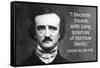 I Became Insane With Intervals Of Sanity Edgar Allan Poe Quote Poster-Ephemera-Framed Stretched Canvas