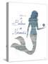 I Believe in Mermaids-Julie DeRice-Stretched Canvas
