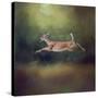 I Can Fly White Tailed Fawn-Jai Johnson-Stretched Canvas