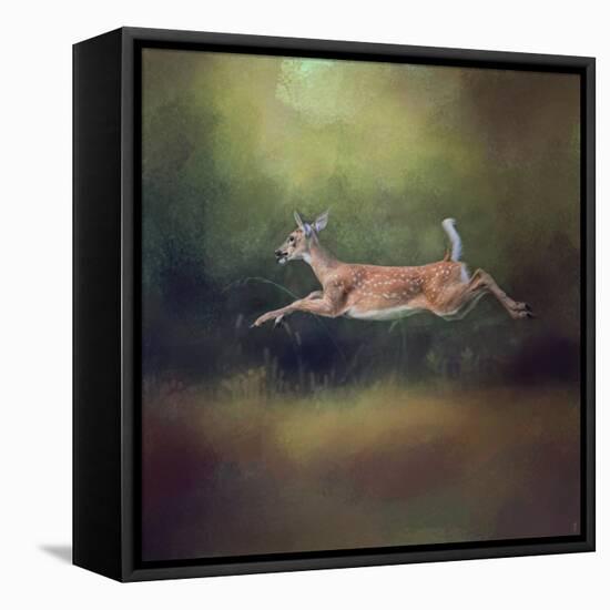 I Can Fly White Tailed Fawn-Jai Johnson-Framed Stretched Canvas
