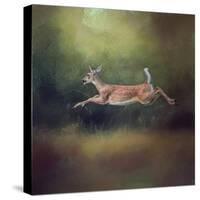 I Can Fly White Tailed Fawn-Jai Johnson-Stretched Canvas