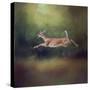 I Can Fly White Tailed Fawn-Jai Johnson-Stretched Canvas
