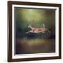 I Can Fly White Tailed Fawn-Jai Johnson-Framed Giclee Print