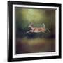 I Can Fly White Tailed Fawn-Jai Johnson-Framed Giclee Print