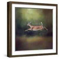 I Can Fly White Tailed Fawn-Jai Johnson-Framed Giclee Print