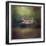 I Can Fly White Tailed Fawn-Jai Johnson-Framed Giclee Print