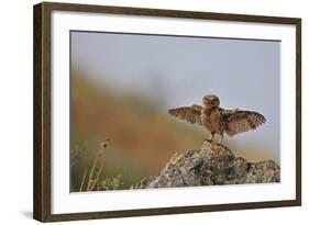 I Can Fly!!!!!!-Muayad Amer-Framed Giclee Print