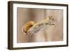 I Can Fly!-Mircea Costina-Framed Premium Photographic Print