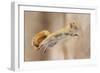 I Can Fly!-Mircea Costina-Framed Premium Photographic Print